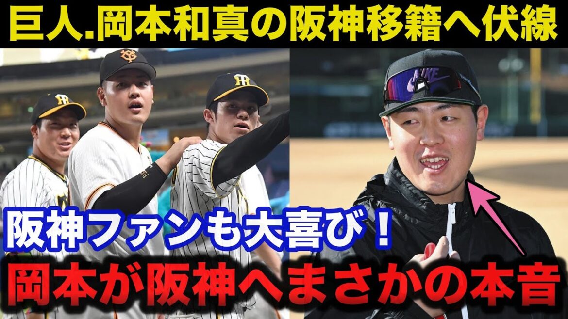 巨人.岡本和真がメジャー移籍がダメなら阪神移籍が囁かれるある理由に阪神ファン大喜び【MLB/阪神タイガース】