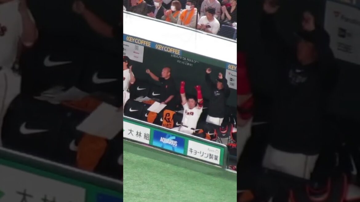 長野久義に今シーズン初ヒットが生まれめっちゃ嬉しそうな浅野翔吾 ベンチの様子2024年4月6日 読売ジャイアンツ対 横浜DeNAベイスターズ #浅野翔吾