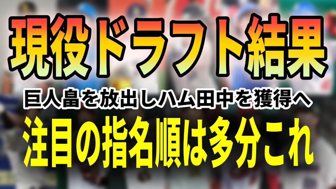 【現役ドラフト結果】巨人の畠が阪神に！日本ハム田中瑛斗が巨人へ！12球団現ドラ出揃う。注目の「指名順番」は多分これ