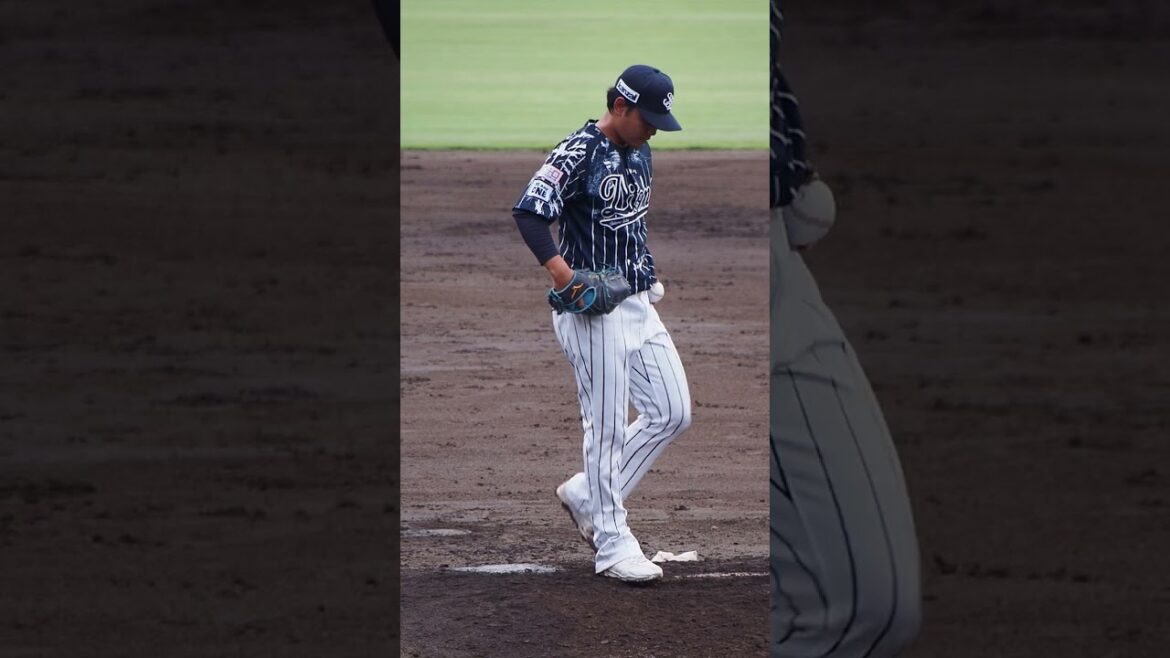 2024.09.01 埼玉西武-横浜DeNA #浜屋将太 投球シーン (カーミニーク) #seibulions #プロ野球 2024.09.01 埼玉西武-横浜DeNA #浜屋将太 投球シーン (カーミニーク) #seibulions #プロ野球