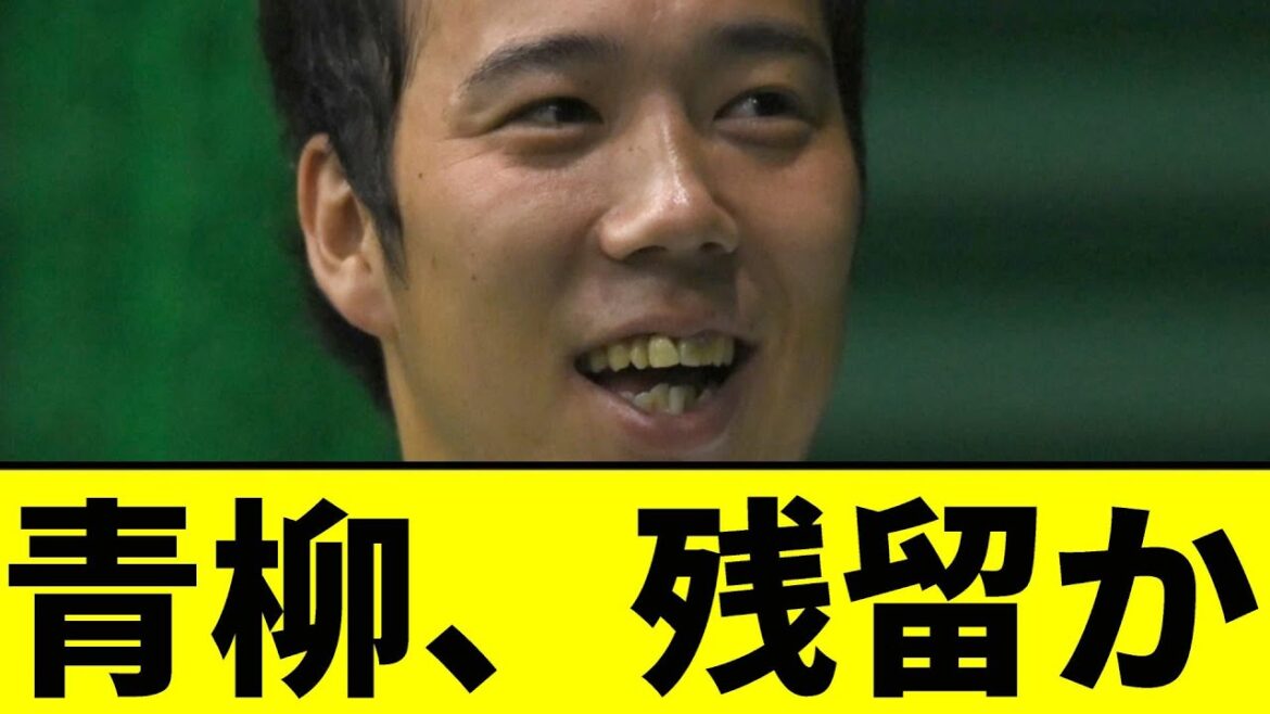 【阪神】青柳晃洋、残留か...【2chスレ】