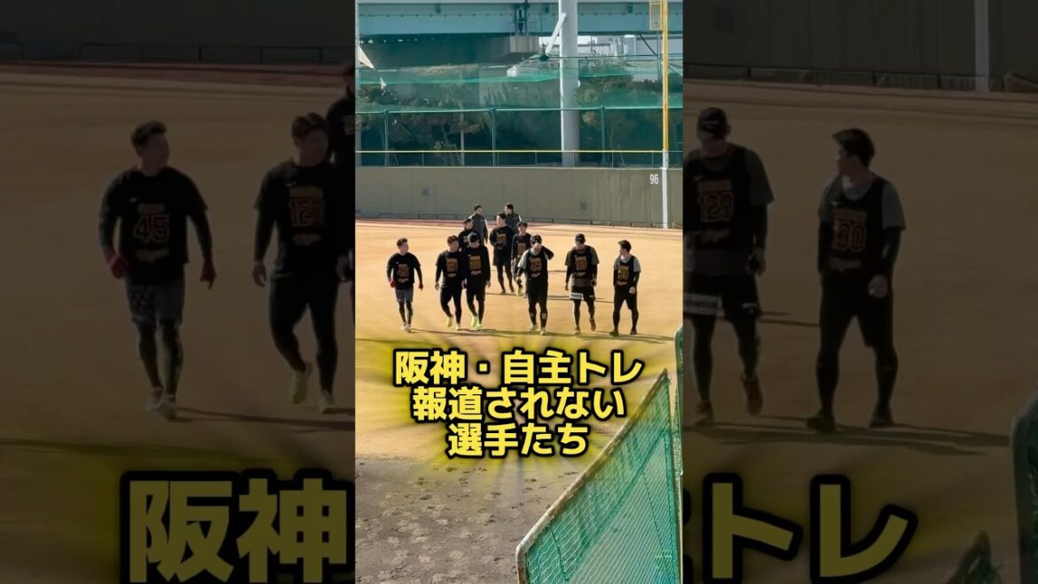 新人と混じり自主トレする選手たち #阪神タイガース #阪神 #プロ野球 #野球 #プロ野球選手 #鳴尾浜 #下村海翔 #今朝丸裕喜 #伊原陵人 #木下里都 #町田隼乙 #佐野大陽 #新人合同自主トレ