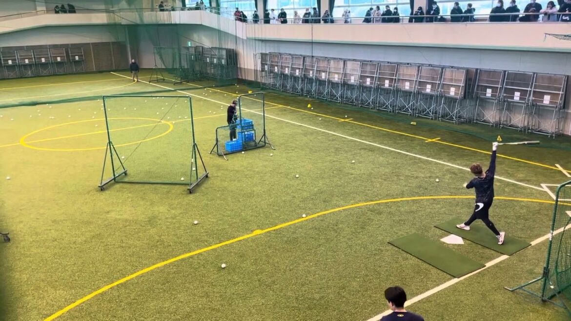 平沢大河　フリー打撃(投手は田村龍弘)