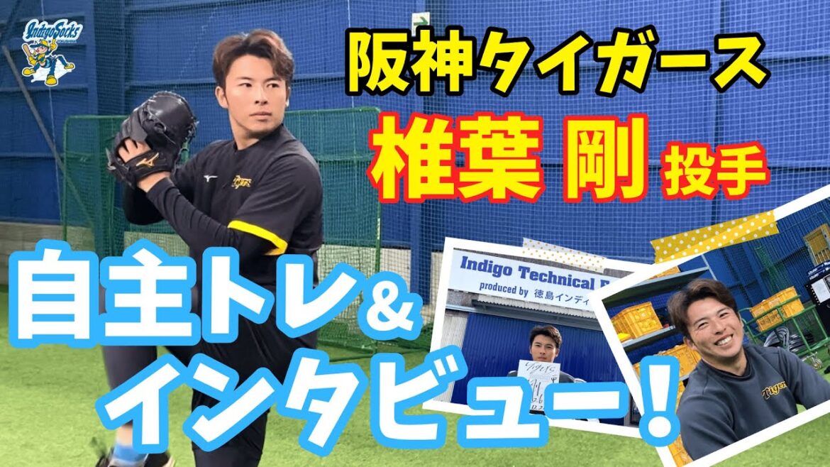 【おかえり!】#阪神タイガース #椎葉剛 投手が徳島で自主トレ🔥いろんな話聞いてみました 【おかえり!】#阪神タイガース #椎葉剛 投手が徳島で自主トレ🔥いろんな話聞いてみました