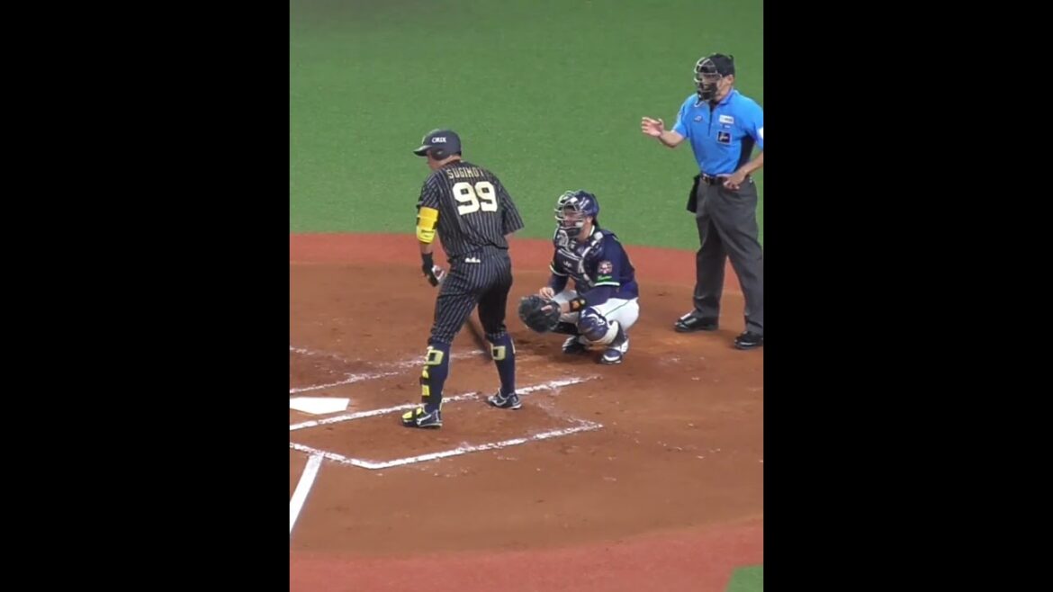 杉本 裕太郎　サインかくにん & チームバッティング　#オリックスバファローズ #shorts