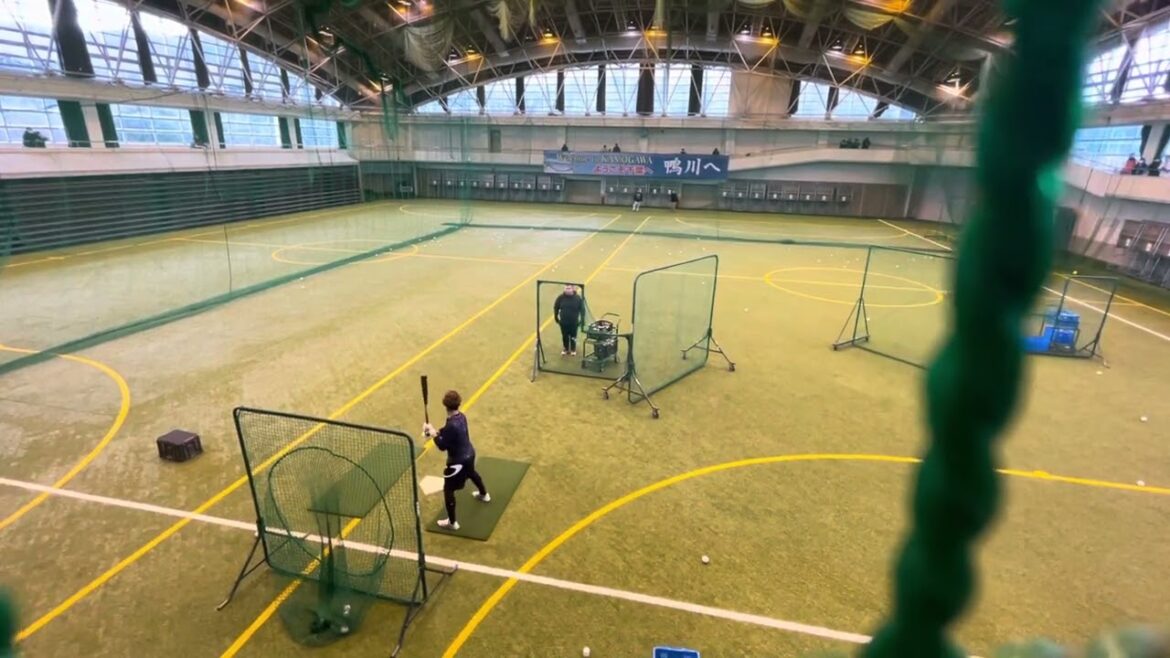 平沢大河　ロングティー