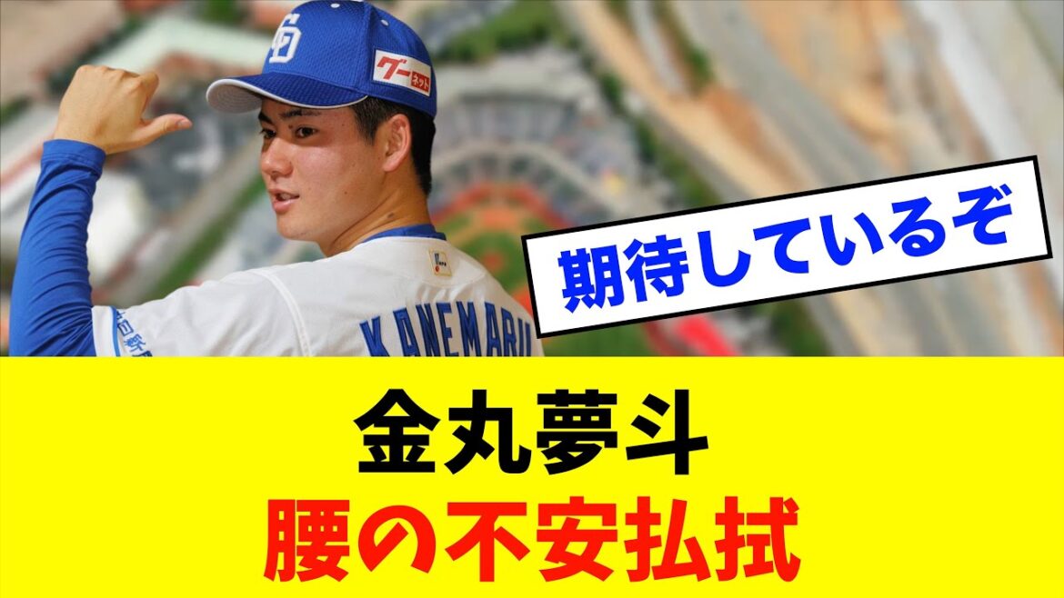 【朗報】中日金丸、腰の不安払拭「一軍キャンプも」※中日ドラゴンズ専門スレ反応集
