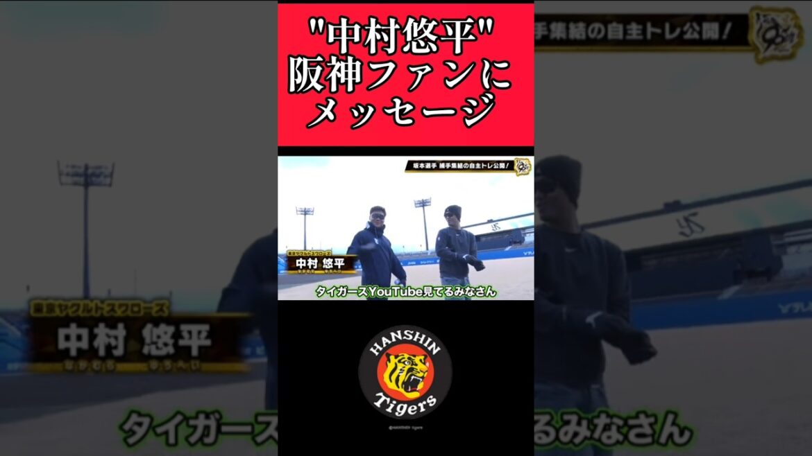 【阪神】ファンにヤクルト中村悠平からメッセージ！ #阪神 #阪神タイガース #中村悠平 #ヤクルトスワローズ  #shorts