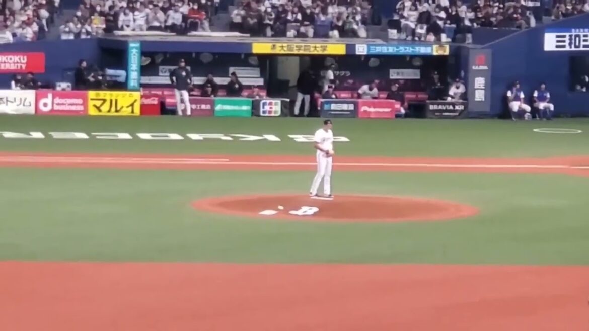 20240303　退団… 先発はﾙｲｽ･ｶｽﾃｨｰﾖ！登板時の登場曲　1回表　ｵﾘｯｸｽ･ﾊﾞﾌｧﾛｰｽﾞ@京ｾﾗﾄﾞｰﾑ大阪･ﾚﾌﾄ外野下段 ｵｰﾌﾟﾝ戦