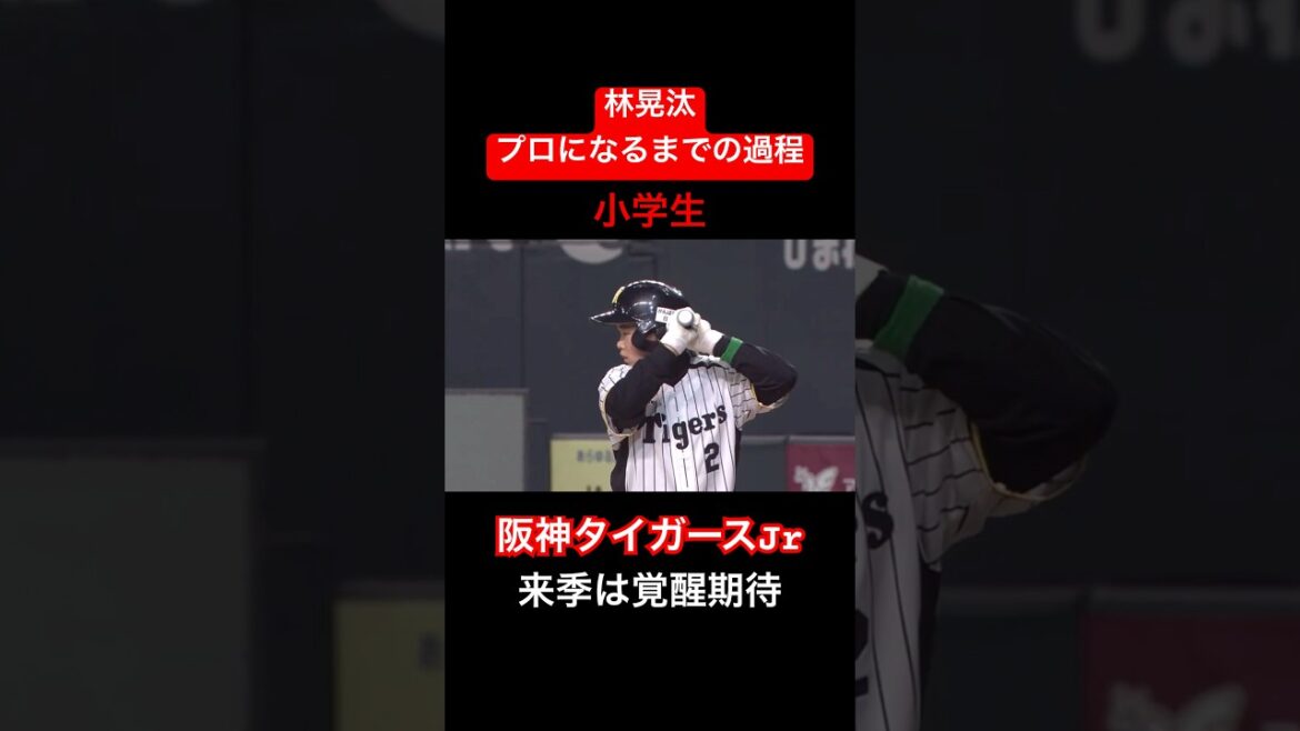 【未完の大器】林晃汰がプロ野球選手になるまでの過程#shorts