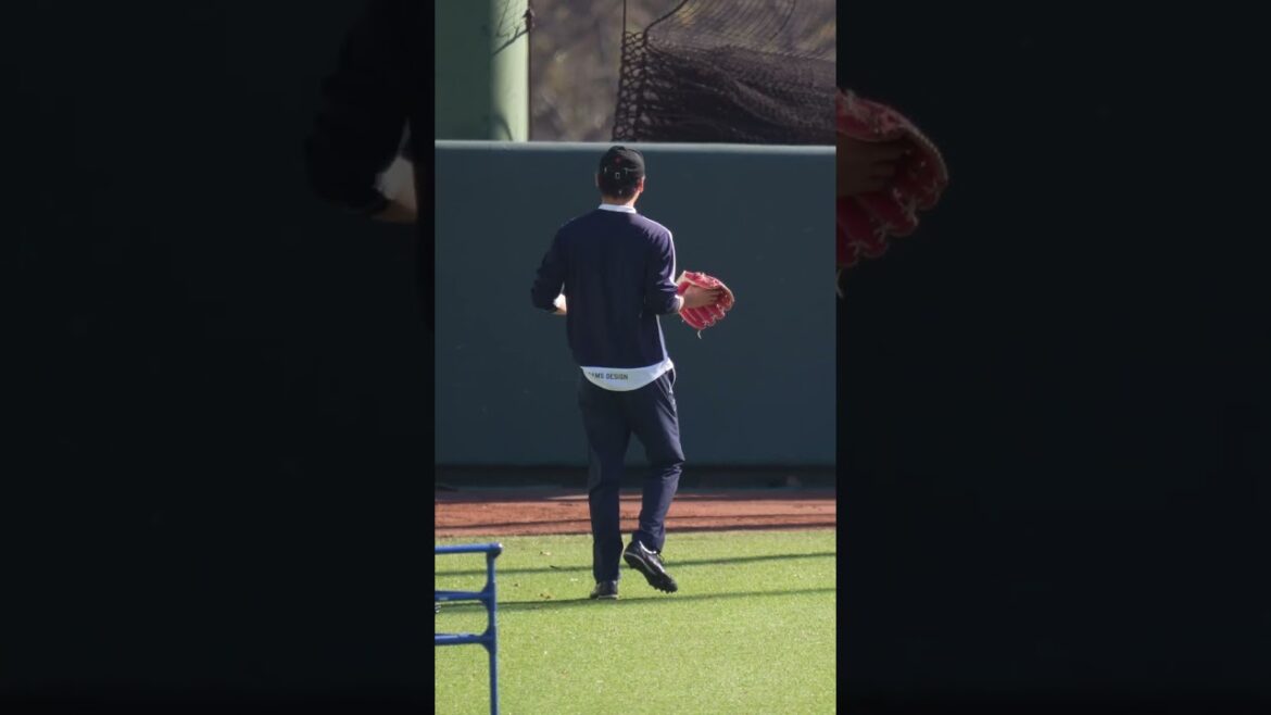 【巨人】野球部あるある。捕る位置ミスると手が痛い。　#shorts #baseball #sports #ジャイアンツ #巨人 #プロ野球