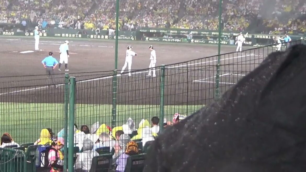 2024年9月1日 阪神対巨人 5/6 7回表 巨人の攻撃 降りしきる雨の中で2点を勝ち越し逆転に成功 2024年9月1日 阪神対巨人 5/6 7回表 巨人の攻撃 降りしきる雨の中で2点を勝ち越し逆転に成功
