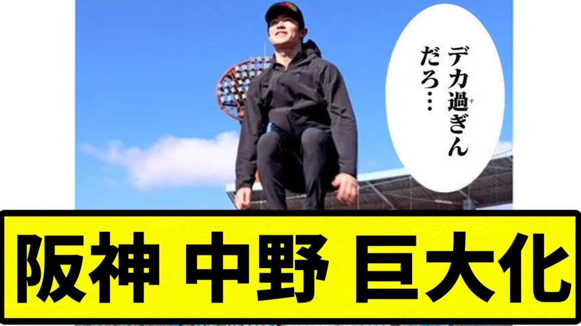 【でけえ！！】阪神 中野 巨大化【プロ野球反応集】【2chスレ】【なんG】
