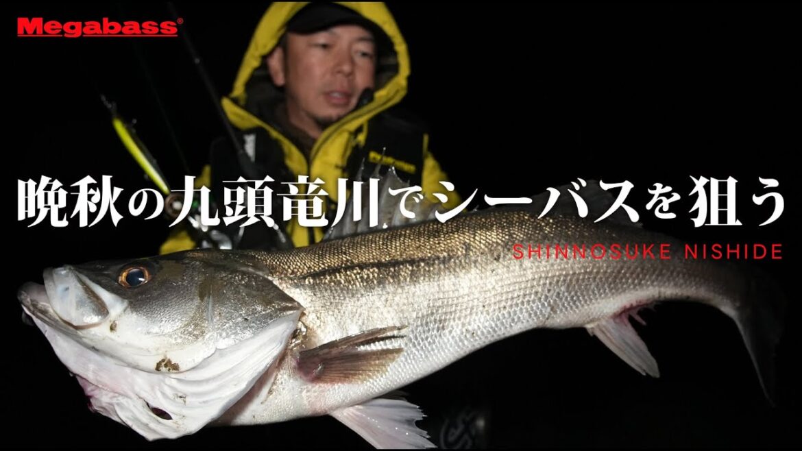 【MEGABASS】晩秋の九頭竜川でシーバスを狙う by 西出慎之介 【MEGABASS】晩秋の九頭竜川でシーバスを狙う by 西出慎之介