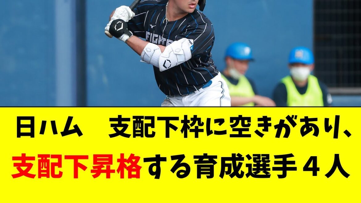 【日ハム】枠に空きあり、支配下昇格する育成４選手がこちら