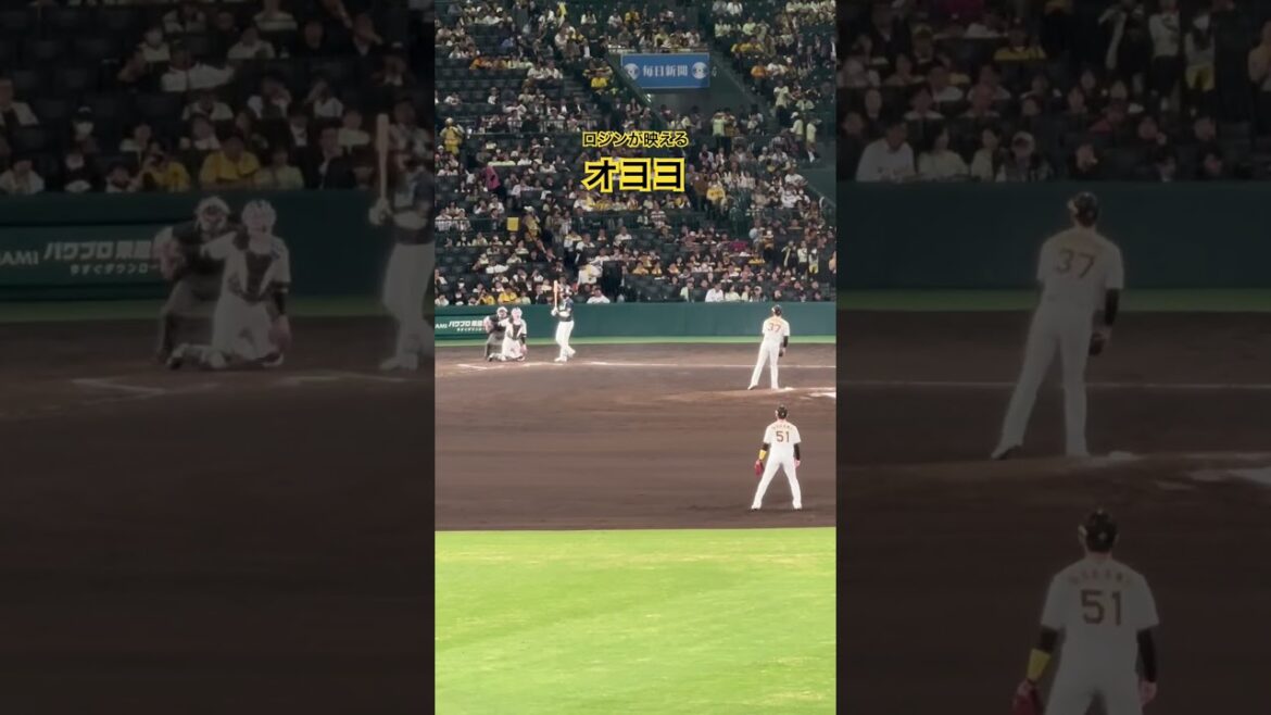 #及川雅貴 ロジンが映える