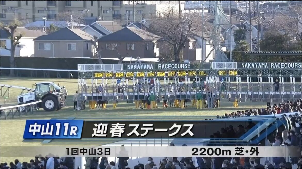 【競馬】2025年 迎春ステークス(4歳以上3勝クラス)【ホーエリート / 戸崎圭太】 【競馬】2025年 迎春ステークス(4歳以上3勝クラス)【ホーエリート / 戸崎圭太】
