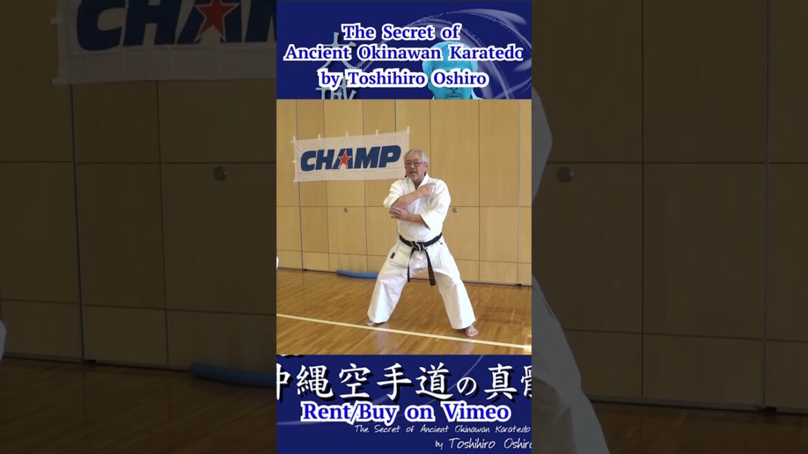 Point Bouncing a shoulder 解説 #肩を返す　The Secret of Ancient Okinawan Karatedo  #short #karate #kata