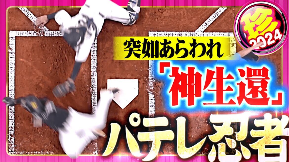 Pacific-League: 【突如あらわれる】パテレ忍者2024 【突如あらわれる】パテレ忍者2024