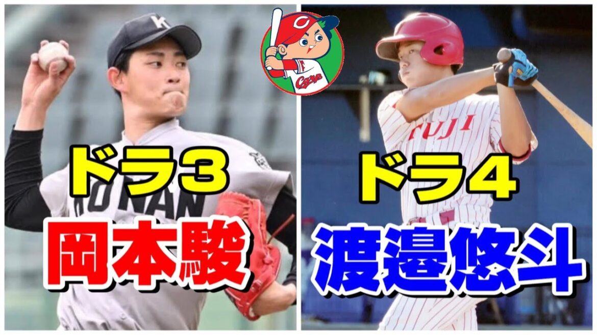 広島カープ 2024ドラフト3位岡本駿投手(甲南大) ドラフト4位渡邉悠斗内野手(富士大) プレー動画