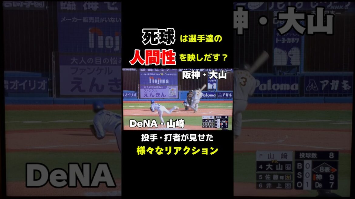 2024年シーズンの『死球』を振り返る動画