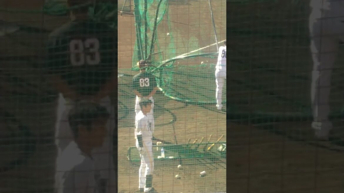 渡邉陸選手（ホークス）の高速トスバッティング！