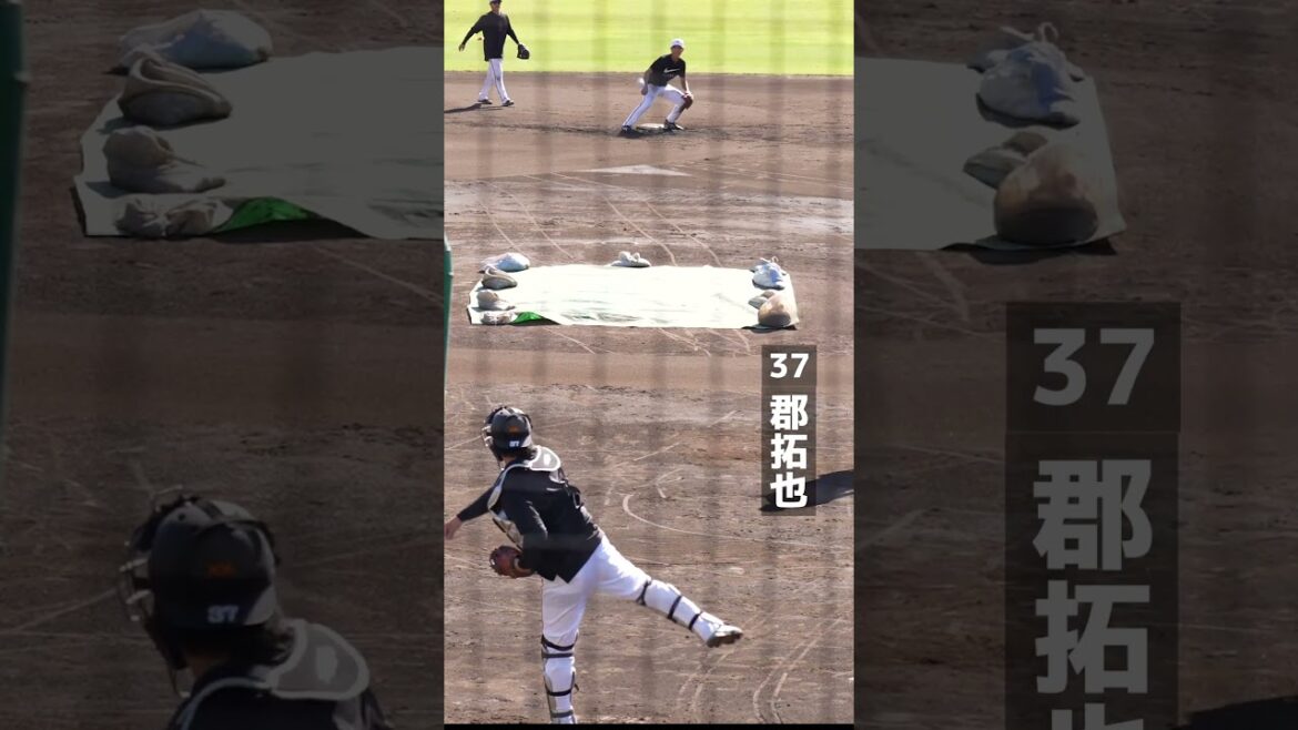 【巨人】山瀬慎之助選手が座り投げを披露 #shorts #baseball #sports #ジャイアンツ #巨人 #プロ野球 【巨人】山瀬慎之助選手が座り投げを披露 #shorts #baseball #sports #ジャイアンツ #巨人 #プロ野球