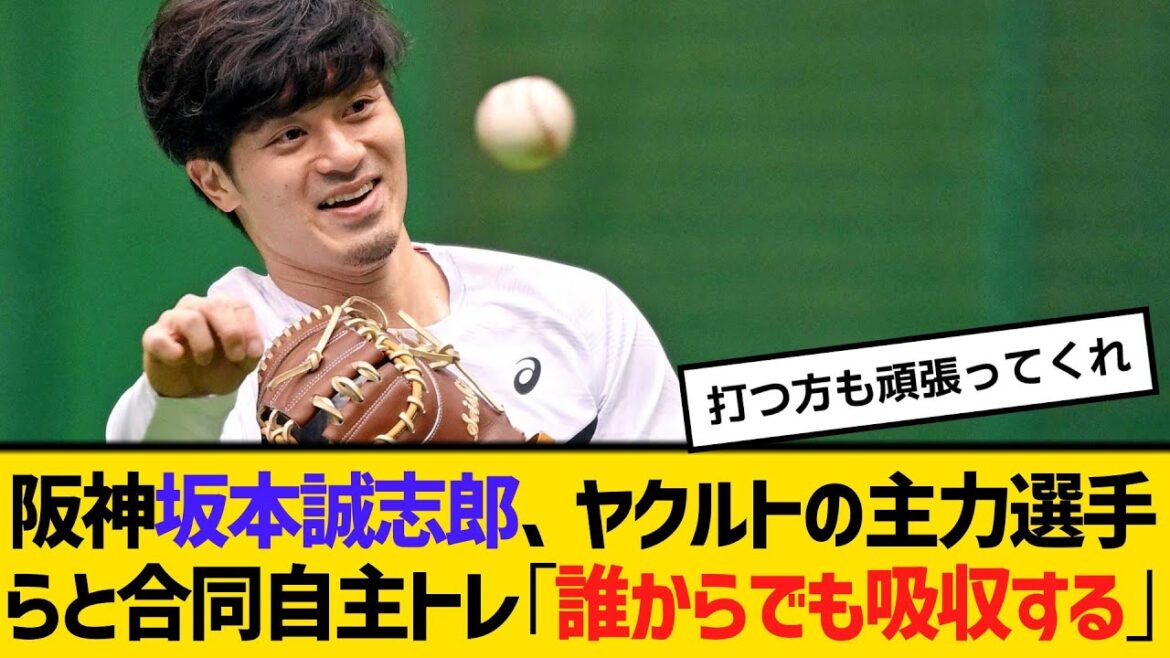 阪神・坂本誠志郎、ヤクルトの主力選手らと合同自主トレ「誰からでも吸収する」　【ネットの反応】【反応集】