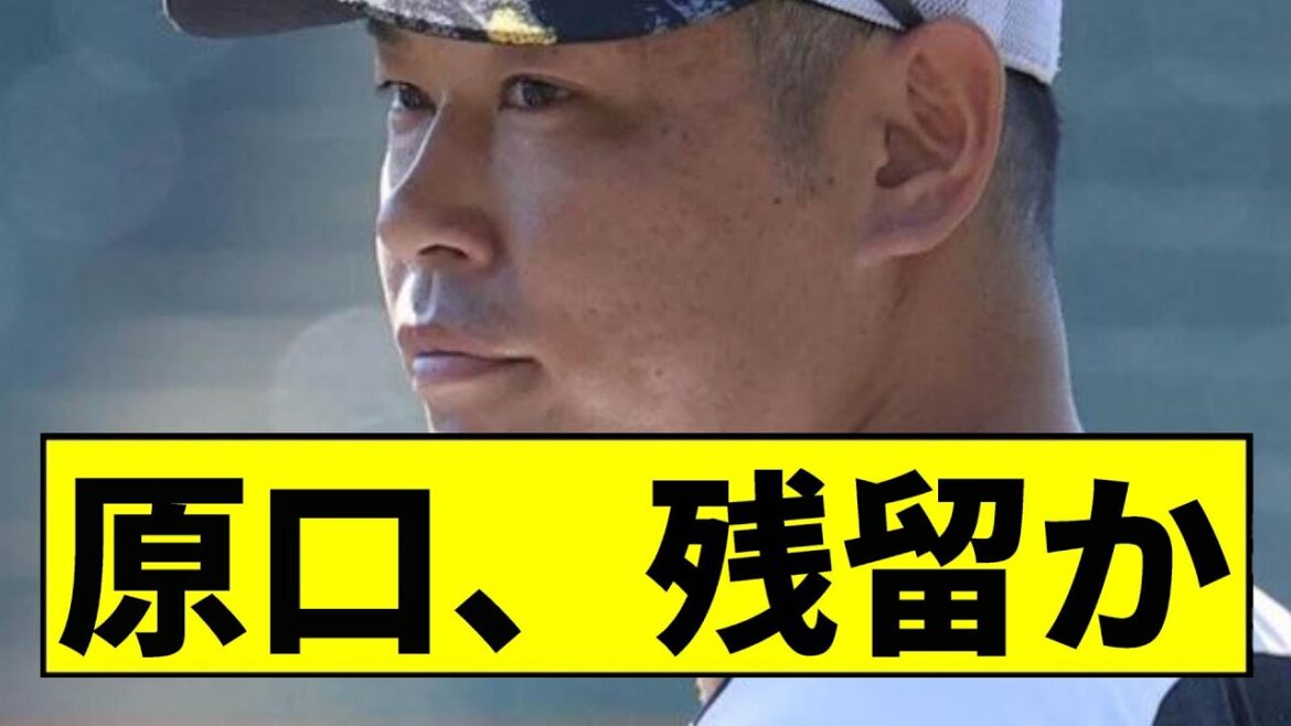 【阪神】原口、残留かｗｗｗｗｗｗｗｗｗｗｗｗｗｗｗｗｗｗｗｗｗ【2chスレ】