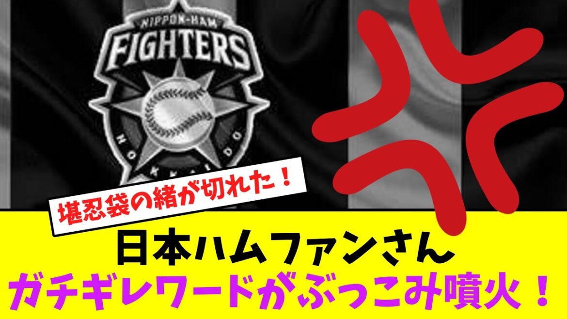 日本ハムファンさん、ガチギレワードがぶっこみ噴火！【なんJなんG】【2ch5ch】