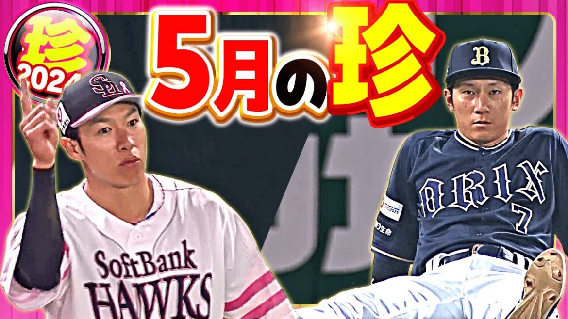 【2024】5月の珍まとめ