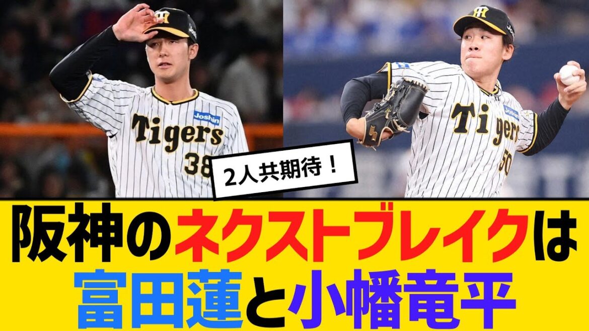 阪神のネクストブレイクは、富田蓮と小幡竜平　球界OBが予想【ネットの反応】【反応集】