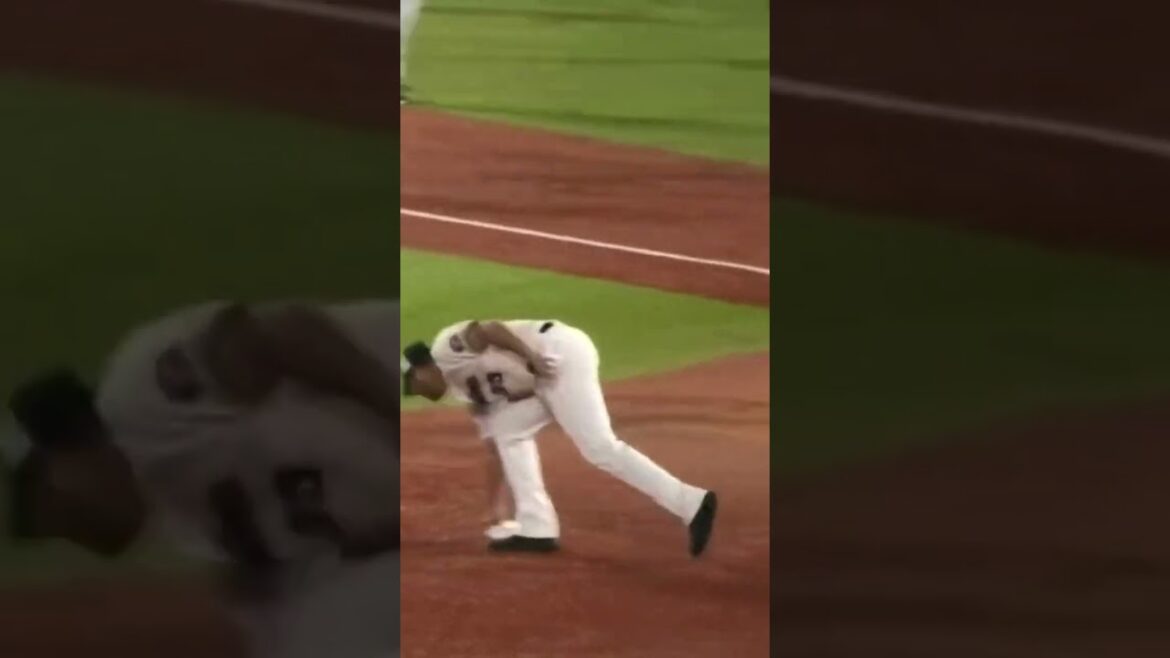 水遊びをするオスナ&ヤフーレw #東京ヤクルトスワローズ #shorts