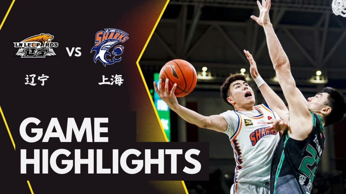 Liaoning VS Shanghai | CBA Full Game Highlights | Jan 14, 2025