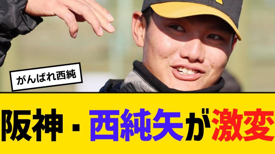 阪神・西純矢が激変！　【ネットの反応】【反応集】