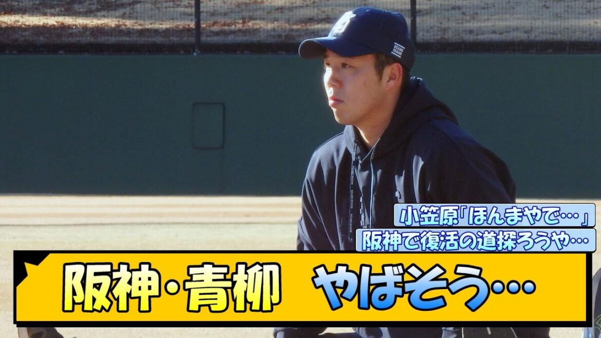 阪神・青柳さん　やばそう…【なんJ/2ch/5ch/ネット 反応 まとめ/阪神タイガース/藤川球児/ポスティング/小笠原慎之介/中日ドラゴンズ】
