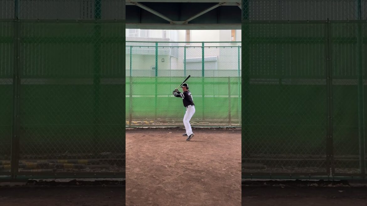 松田宣浩さんからアドバイスを受けすぎた外国人選手