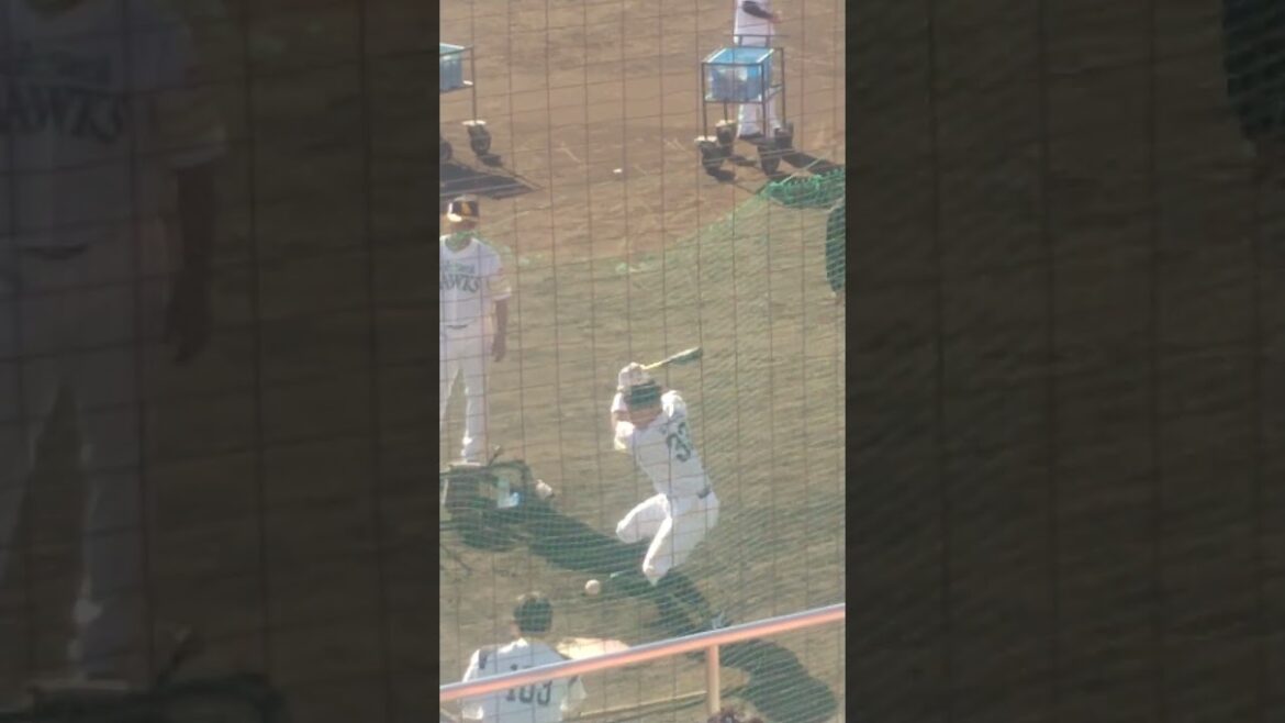 増田珠選手（ホークス ※現スワローズ）の高速トスバッティング！