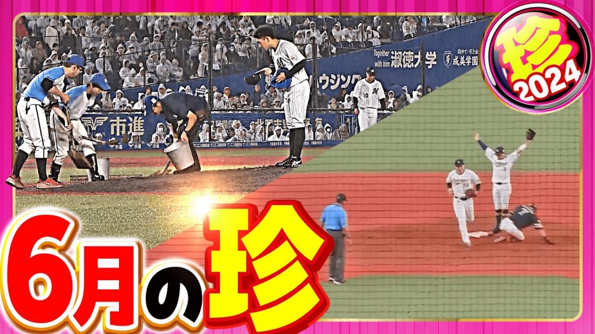 Pacific-League: 【2024】6月の珍まとめ 【2024】6月の珍まとめ