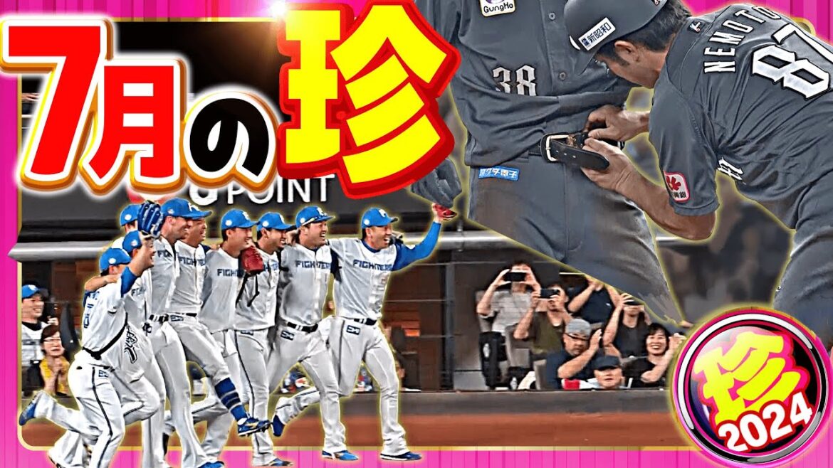 【2024】7月の珍まとめ