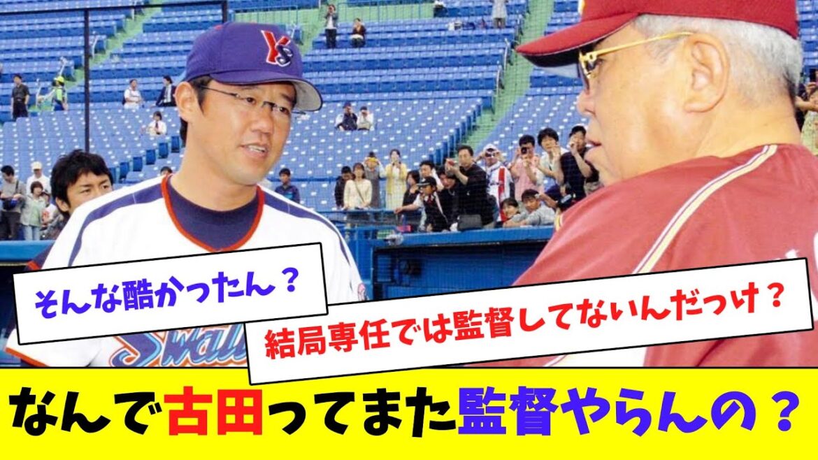 【疑問】なんで古田ってまた監督やらんの？