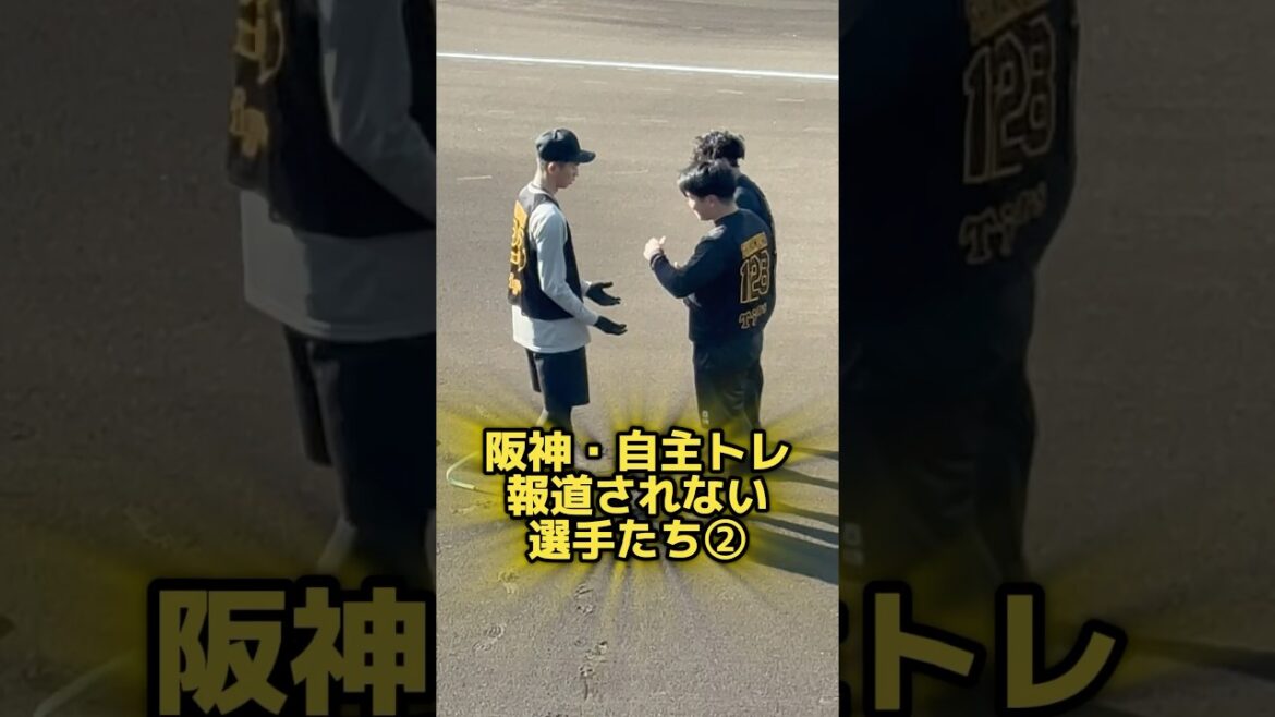 阪神自主トレ報道されない選手たち② 25/1/13鳴尾浜 #阪神タイガース #阪神 #鳴尾浜 #今朝丸裕喜 #報徳学園 #佐藤蓮 #上武大学 #石黒佑弥 #プロ野球 #畠世周 #巨人 #下村海翔