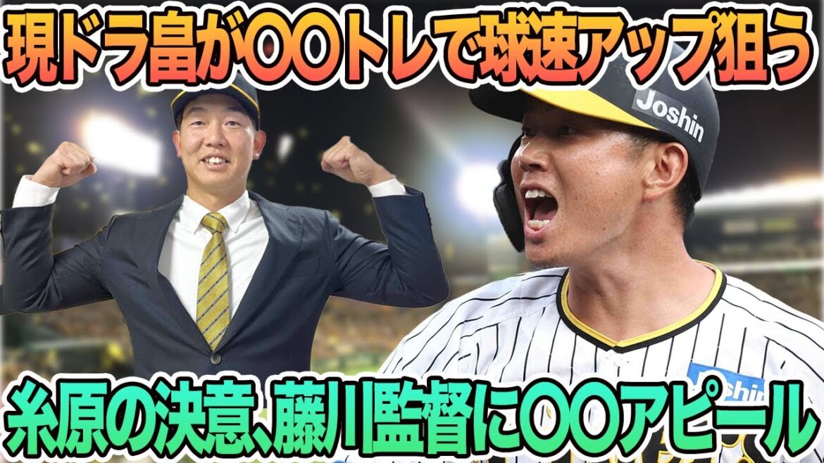 【現ドラ畠が〇〇トレで球速アップ狙う】糸原の決意、藤川監督に〇〇アピール 、岩貞 「能見ノート」駆使して復活へ 阪神タイガース 阪神 藤川監督 藤川球児 畠 現ドラ 糸原 岩貞 【現ドラ畠が〇〇トレで球速アップ狙う】糸原の決意、藤川監督に〇〇アピール 、岩貞 「能見ノート」駆使して復活へ 阪神タイガース 阪神 藤川監督 藤川球児 畠 現ドラ 糸原 岩貞