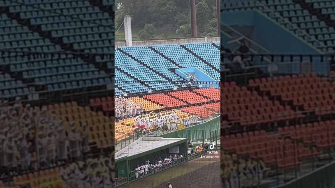 聖光学院高校応援風景【ネフタリ・ソトのテーマ】（2024年10月18日）