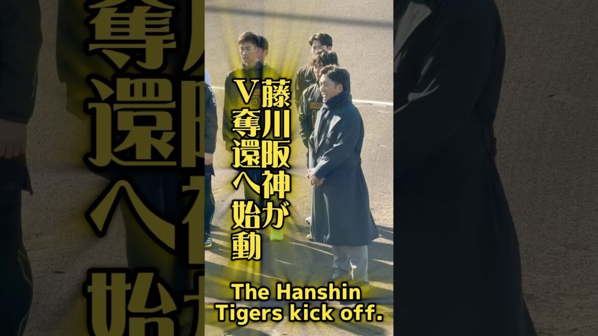 阪神の首脳陣が集まる新人合同自主トレ 1/8鳴尾浜 #阪神タイガース #プロ野球 #藤川球児 #鳴尾浜 #新人合同自主トレ #平田勝男 #下村海翔 #湯浅京己 #高橋遥人 #今朝丸裕喜 #伊原陵人