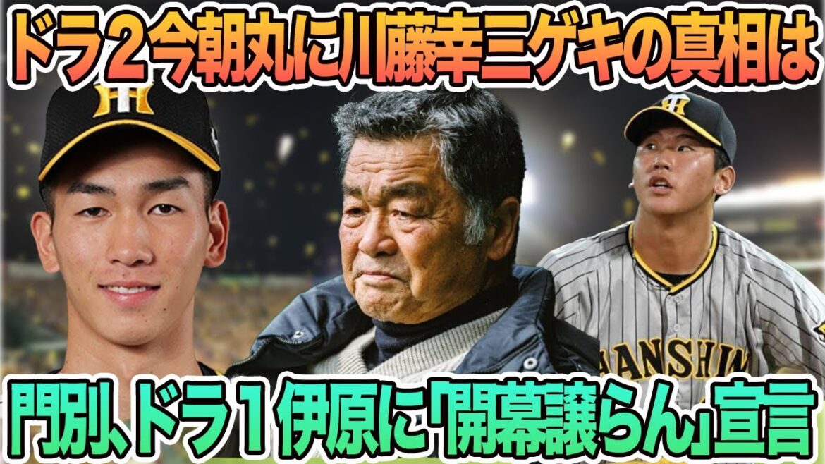 【ドラ2今朝丸に川藤幸三氏ゲキの真相は】　門別、ドラ1伊原に「絶対負けたくない」石黒　水泳トレで来季「10倍返し」　　阪神タイガース　阪神　藤川監督　藤川球児　今朝丸　門別　川藤幸三　石黒