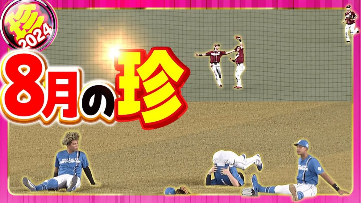 【2024】8月の珍まとめ