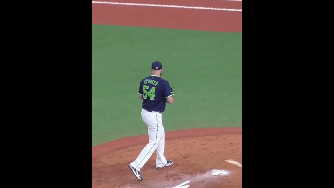 サイ・スニード　すまぬ、靴紐ほどけたでござる　#東京ヤクルトスワローズ #shorts