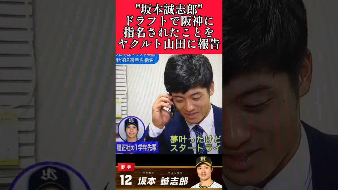 【阪神】"坂本誠志郎"ドラフトで指名されたことをヤクルト山田に報告！ #阪神 #阪神タイガース #坂本誠志郎  #shorts