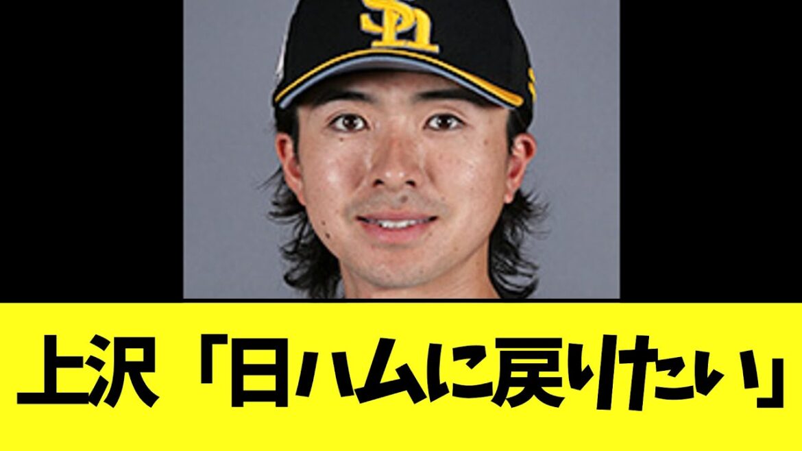 【悲報】上沢直之　なんか暴露される